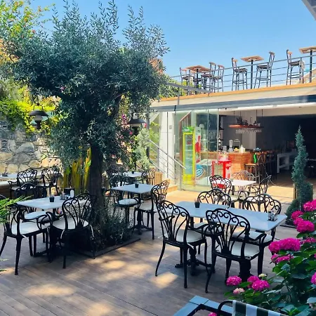 Olivia Bodrum