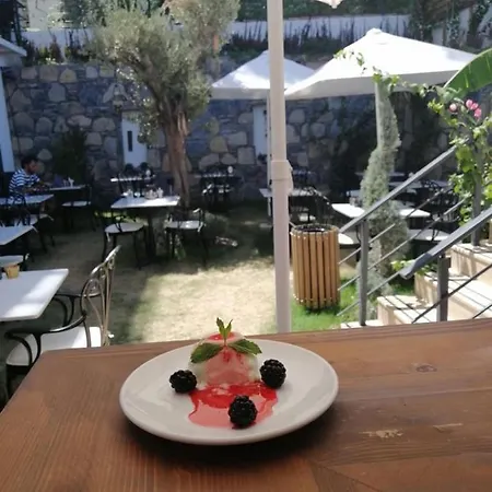 Szálloda Olivia Bodrum