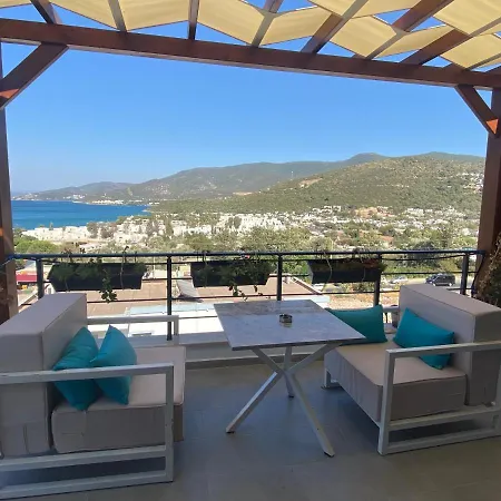 Olivia Αλικαρνασσός