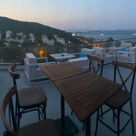 Olivia 3*