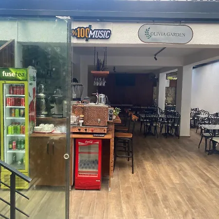 奥利维亚酒店 3* 博德鲁姆