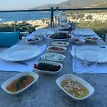 فندق Olivia